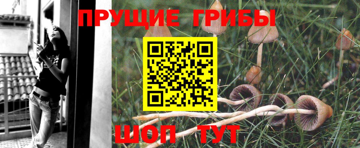 Псилоцибиновые грибы мухоморы  Вход с VPN  Советск 